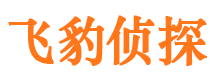 东宝市婚外情调查